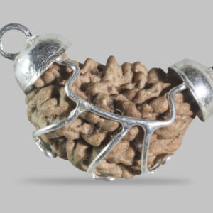1 MUKHI RUDRAKSHA