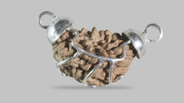 1 MUKHI RUDRAKSHA