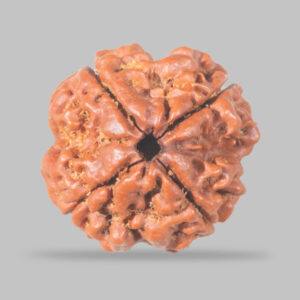 4 MUKHI RUDRAKSHA