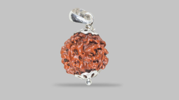 4 MUKHI RUDRAKSHA - Image 2