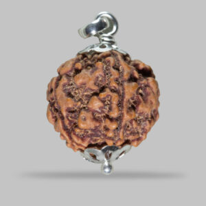 5 MUKHI RUDRAKSHA