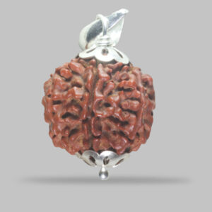 6 MUKHI RUDRAKSHA
