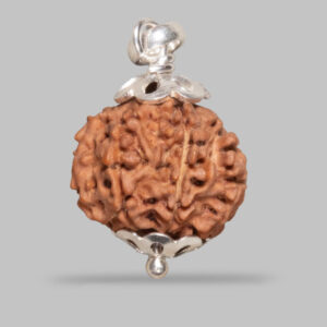 8 MUKHI RUDRAKSHA