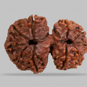 GAURI SHANKAR RUDRAKSHA